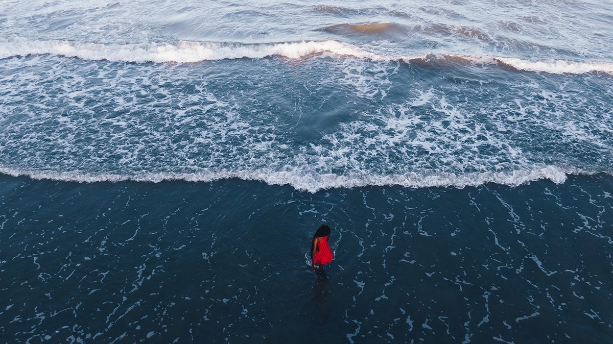 World Photography Organisation tweet media