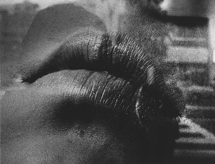 tommasson76's tweet photo. Daido Moriyama. https://t.co/JvZ6zhULEp