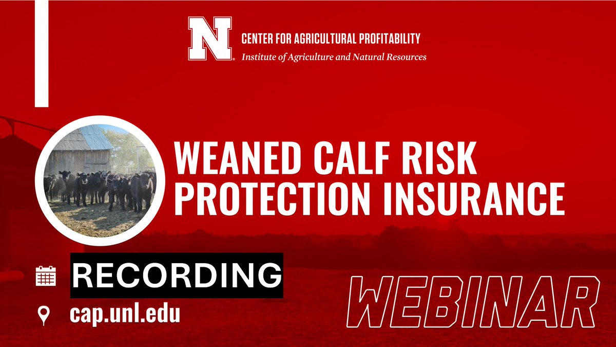 Central Sandhills Beef Educator tweet media