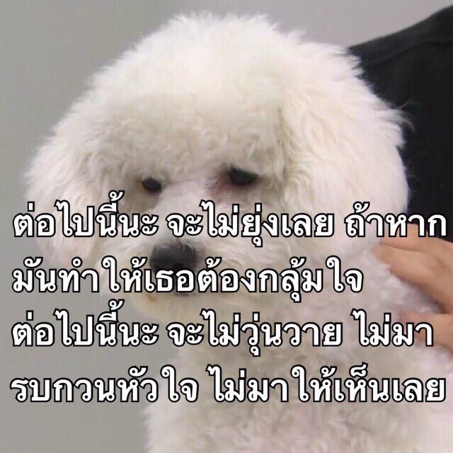 อกหักครับ ปิดร้าน 2 วัน