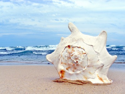 Keepity's tweet image. Lets get to the beach Towels and shorts on sale keepity.com/deal/books-mus…