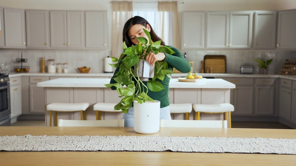 GadgetFlow's tweet image. Effortlessly nurture your plants with LeafyPod! 🌱🤖 This AI-powered smart planter simplifies plant care and maximizes growth for thriving greenery. 🌞🪴 #LeafyPod #SmartPlanter #AIPlantCare #GreenLiving
thegadgetflow.com/product/leafyp…