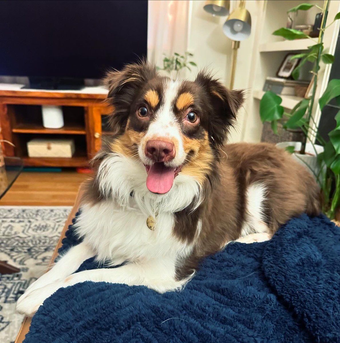 Sophie Rae Lichterman tweet media