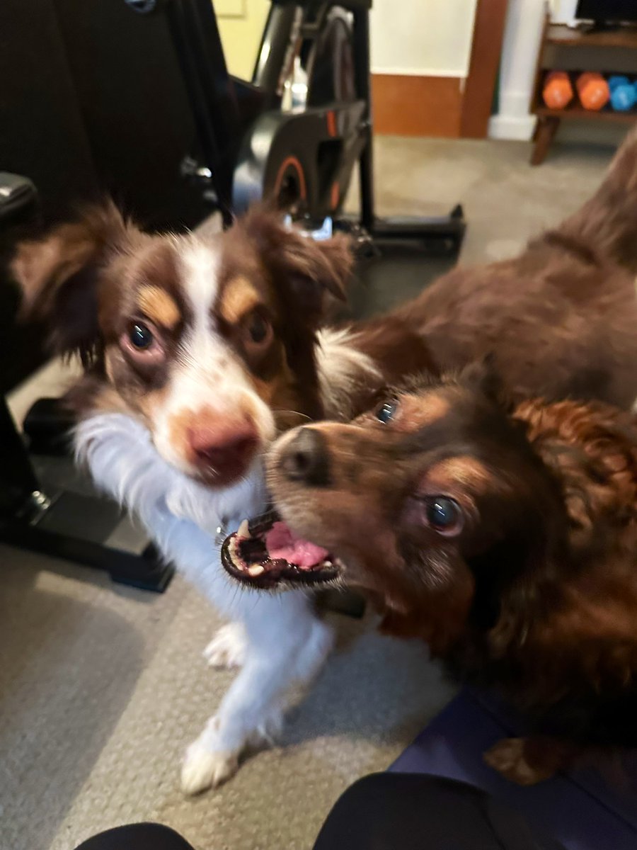 Sophie Rae Lichterman tweet media