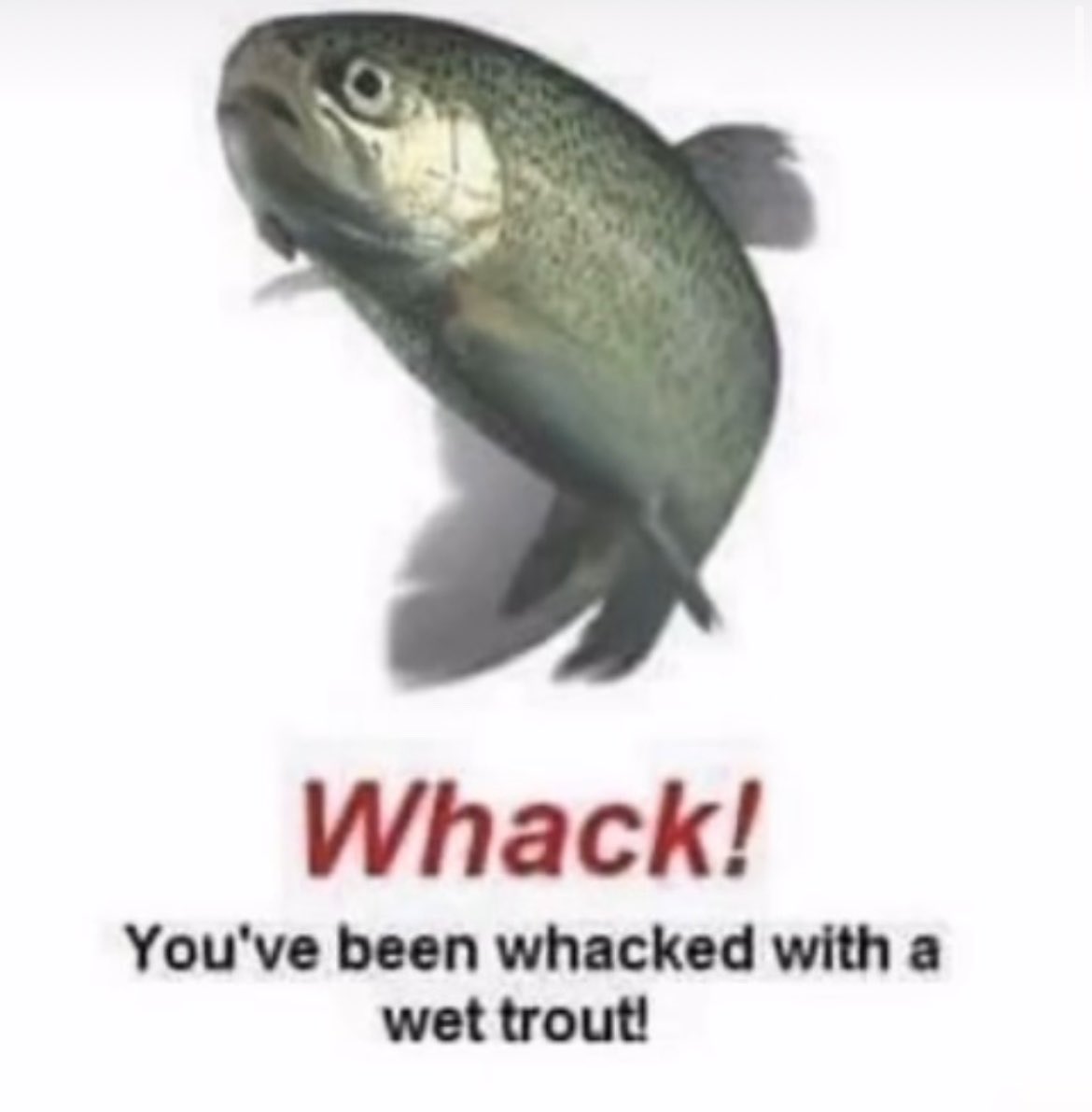 Goode tweet media