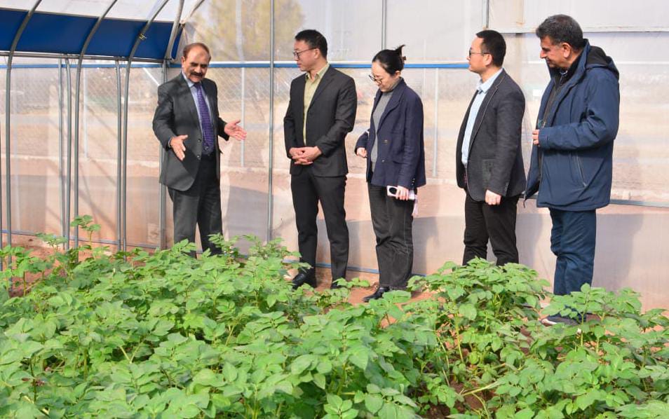 Mr. Yang Guangyuan, Minister Counsellor of the Chinese Embassy, along with Mr. Wang Cun and Ms. Xie Yang, called on Dr. Ghulam Muhammad Ali, Chairman Pakistan Agricultural Research Council (PARC), at the National Agricultural Research Centre, Islamabad.