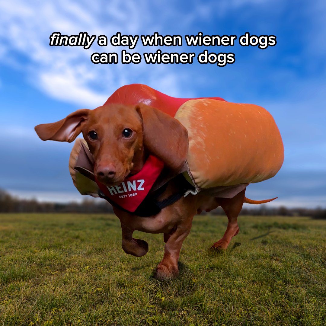 Heinz US tweet media