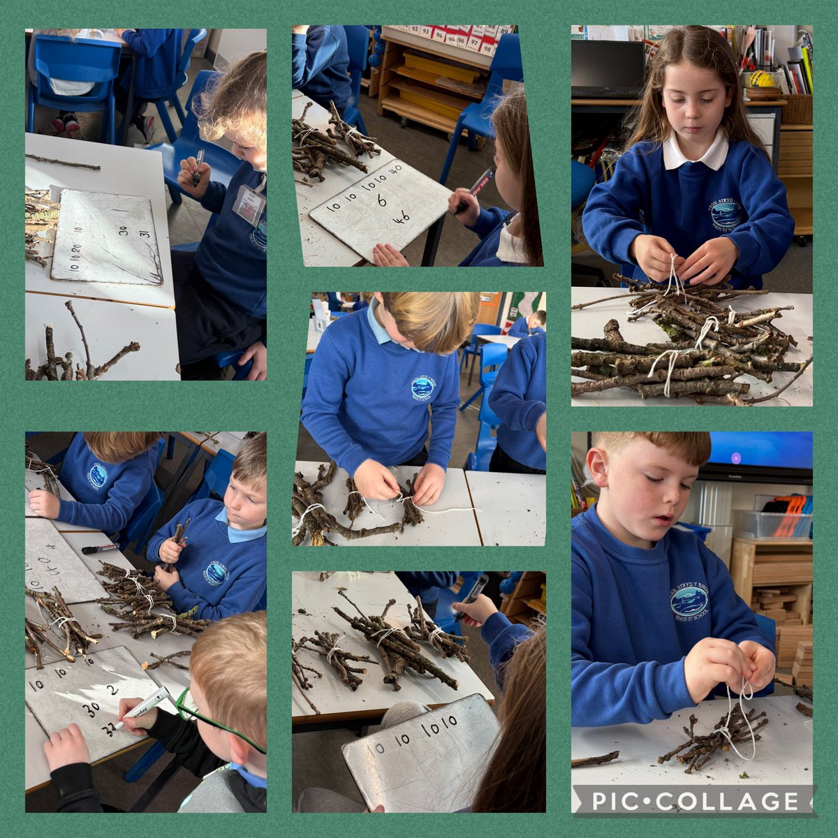 In maths, Blwyddyn 2 have been working hard embedding their knowledge of tens and units. They collected 10cm sticks and tied them up in bundles of 10, making it so much easier to skip count. The used whiteboards to record their counting.🤩 #RSSnum #RSScfw #RSSol #RSSeco