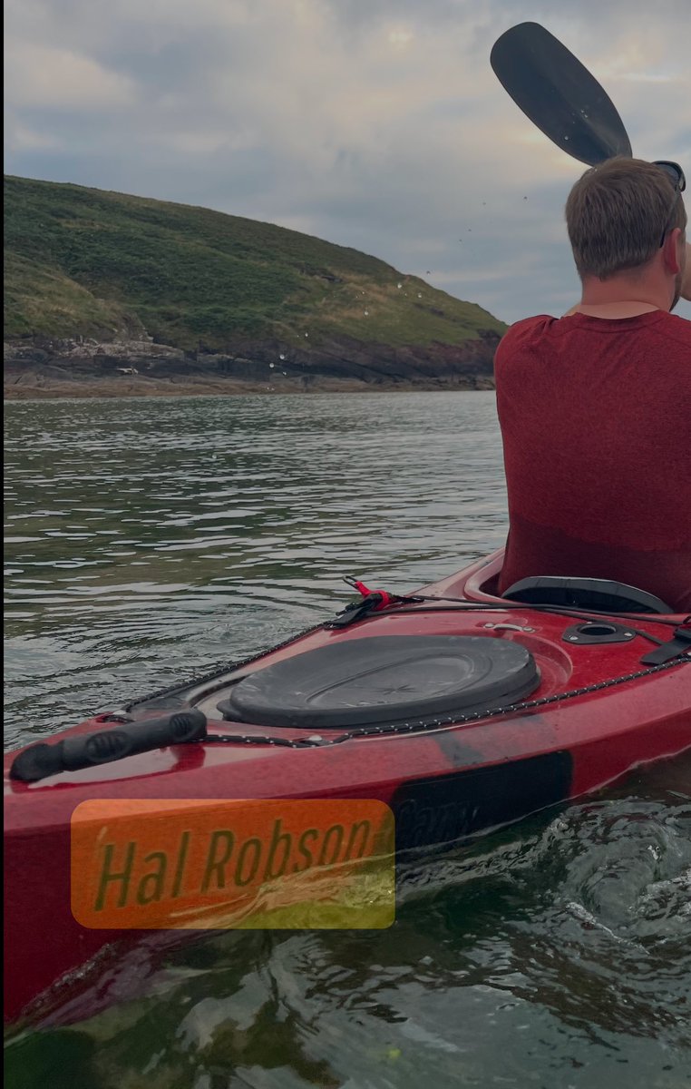 Lewys Theo Wyn Evans tweet media