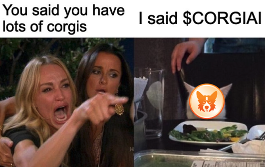 #Woofgang what would you rather have? 🧐