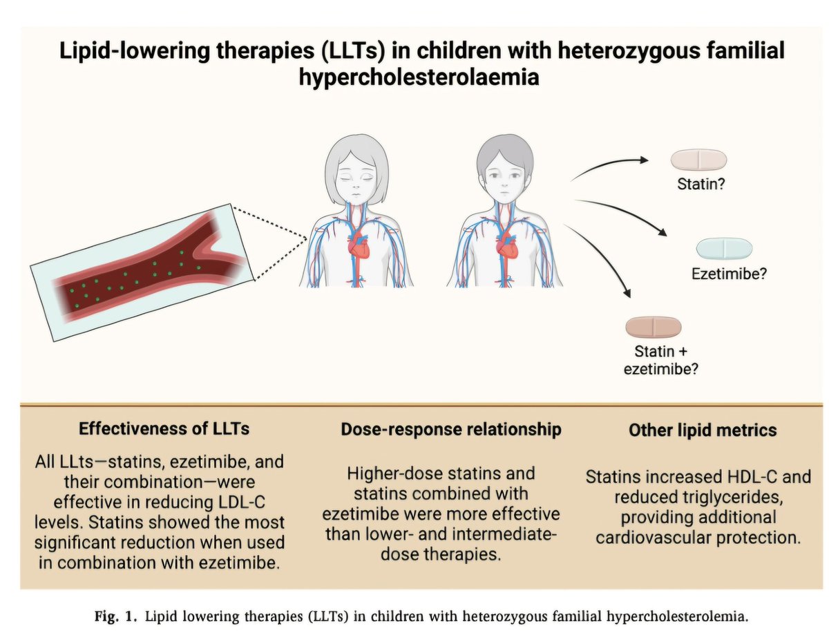 🔴New options for young people with dyslipidemia: The future is bright! ⤵️  #editorial   

🔹sciencedirect.com/science/articl…
 #Cardiology #FOAMed #MedEd #medstudent #paramedic #Cardiology #CardioEd #medtwitter #meded #CardioTwitter #cardiotwiteros  #MedX #cardiovascular