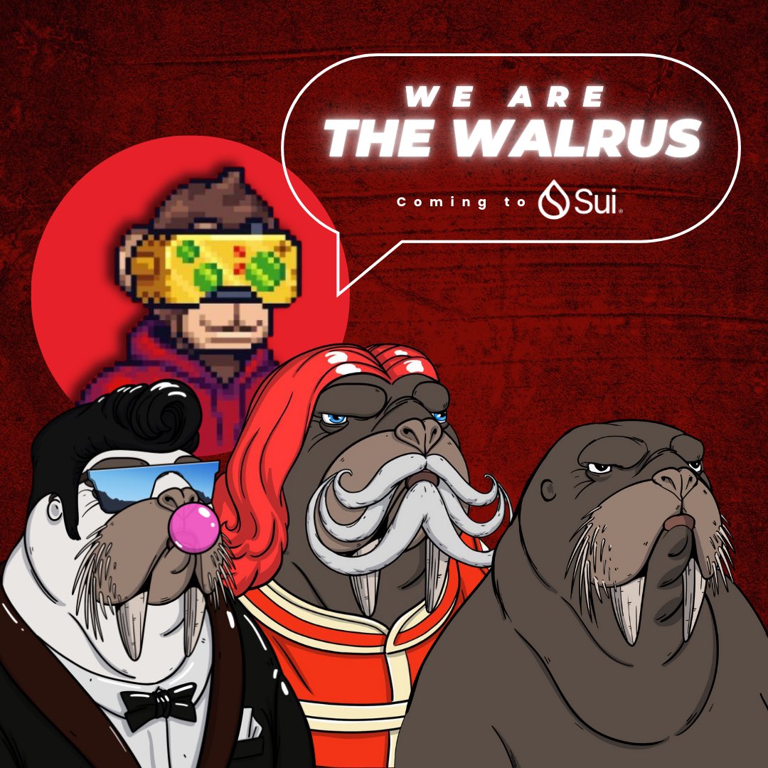 TheSuiLegend's tweet photo. 🔥We Are The Walrus is coming to Sui soon! 

Expecting big demand, and I’ve got 10 whitelists to give away to my legends. 🏆

✅ Follow: @TheSuiLegend + @WATwalrus 
✅ Like & Share this tweet
✅ Drop your best Walrus slogan in the comments below 🐚

Don’t miss your shot! 👇 #SuiNFTs #Crypto #WeAreTheWalrus #NFT
