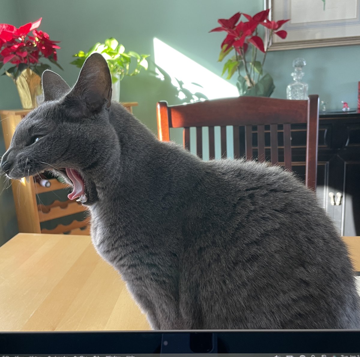 Lol. What a face!! 😂😂