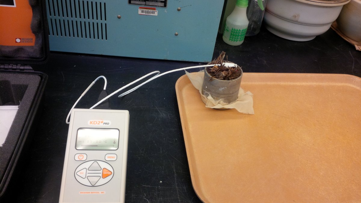 CSSS_Soils's tweet image. A recent study showed that #covercrops can improve the ability of the #soil to buffer against rapid #heat change. Read more here: wp.me/pclOv9-vC. @CbasMtsu