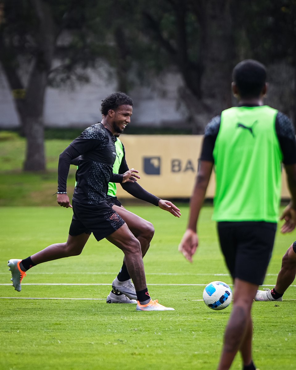 LDU Oficial tweet media