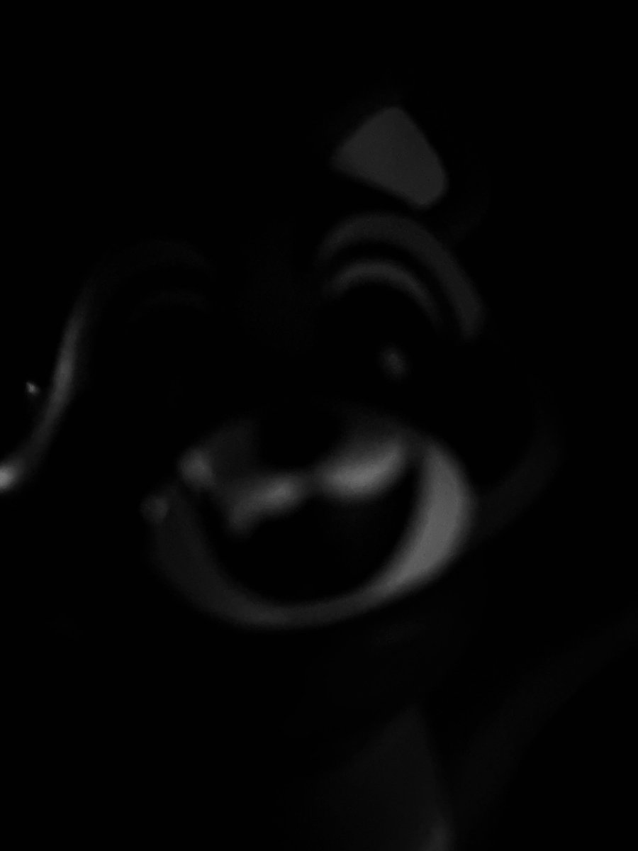 Found the perfect use of the rambley figure from <a href="/UniqueGeese/">Mason | UniqueGeese 🔜 MomoCon</a> indigo park

Just place it in front of a home security camera and screenshot for meme material