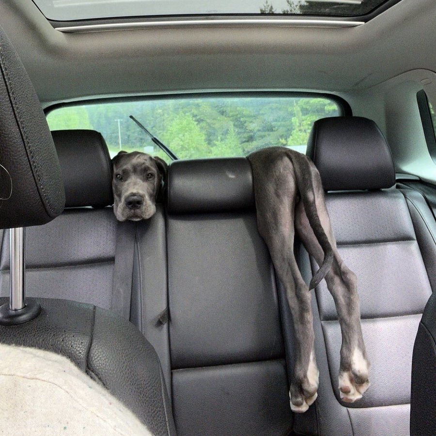 Liverpool Toa Ndani 😅😅😅