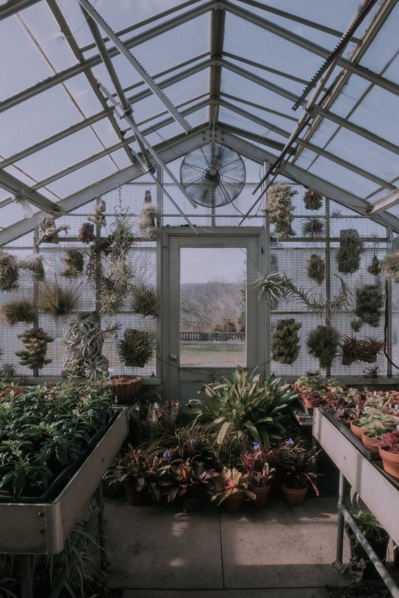 niagarza_'s tweet photo. needed some inspiration so i took my camera w me on a solo trip to the dreamiest place in nyc 💌 #wavehillgarden #nikon #secretgarden https://t.co/t46UfMOKIe