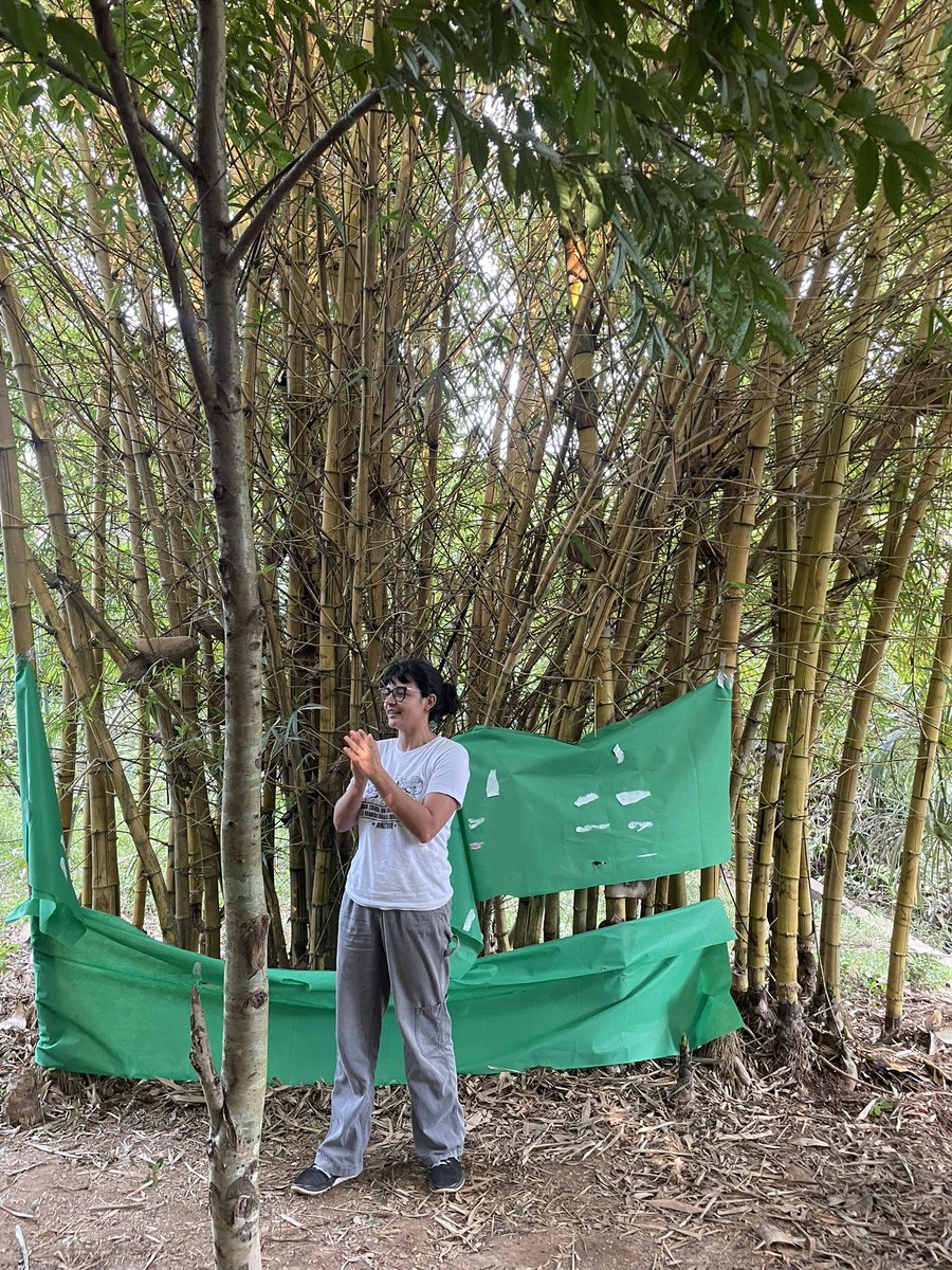 Cealdes - Centro de Alternativas al Desarrollo tweet media