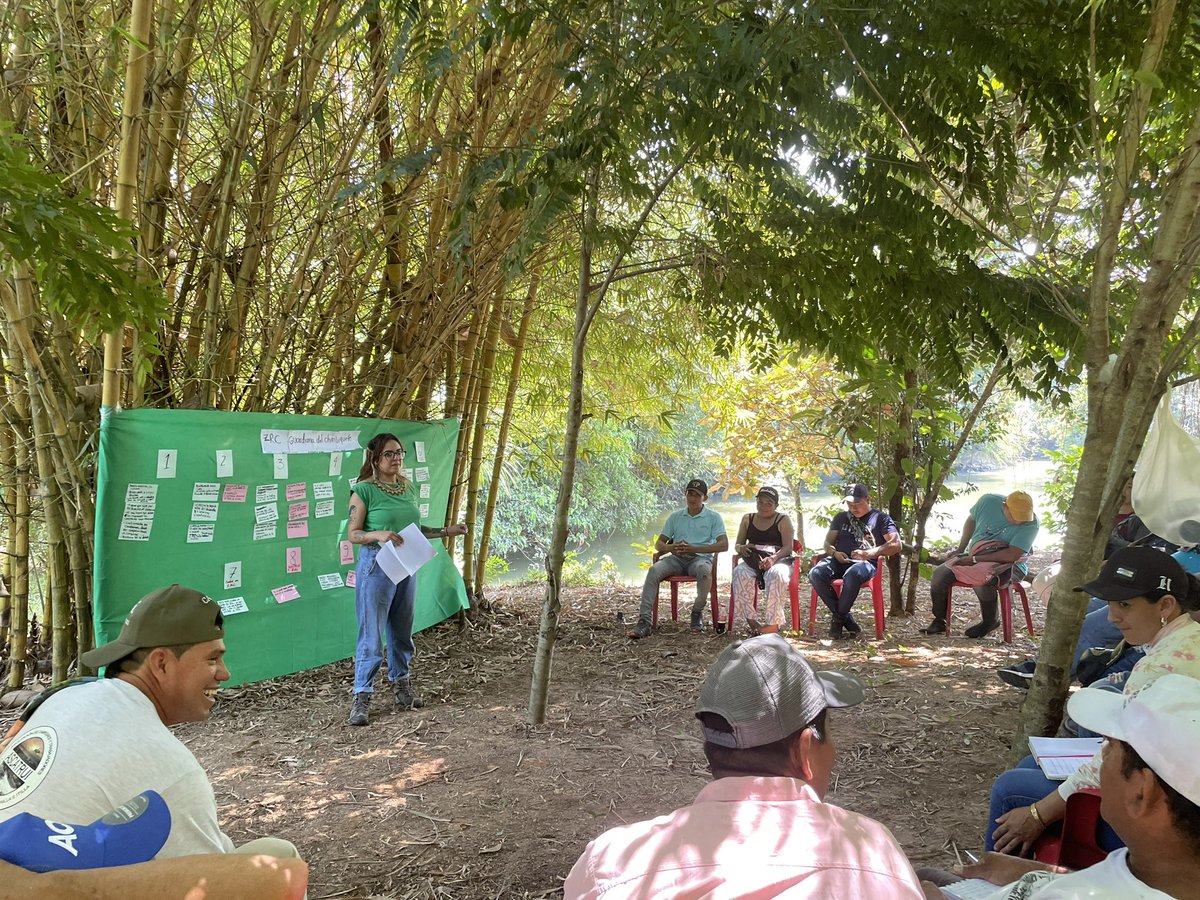 Cealdes - Centro de Alternativas al Desarrollo tweet media