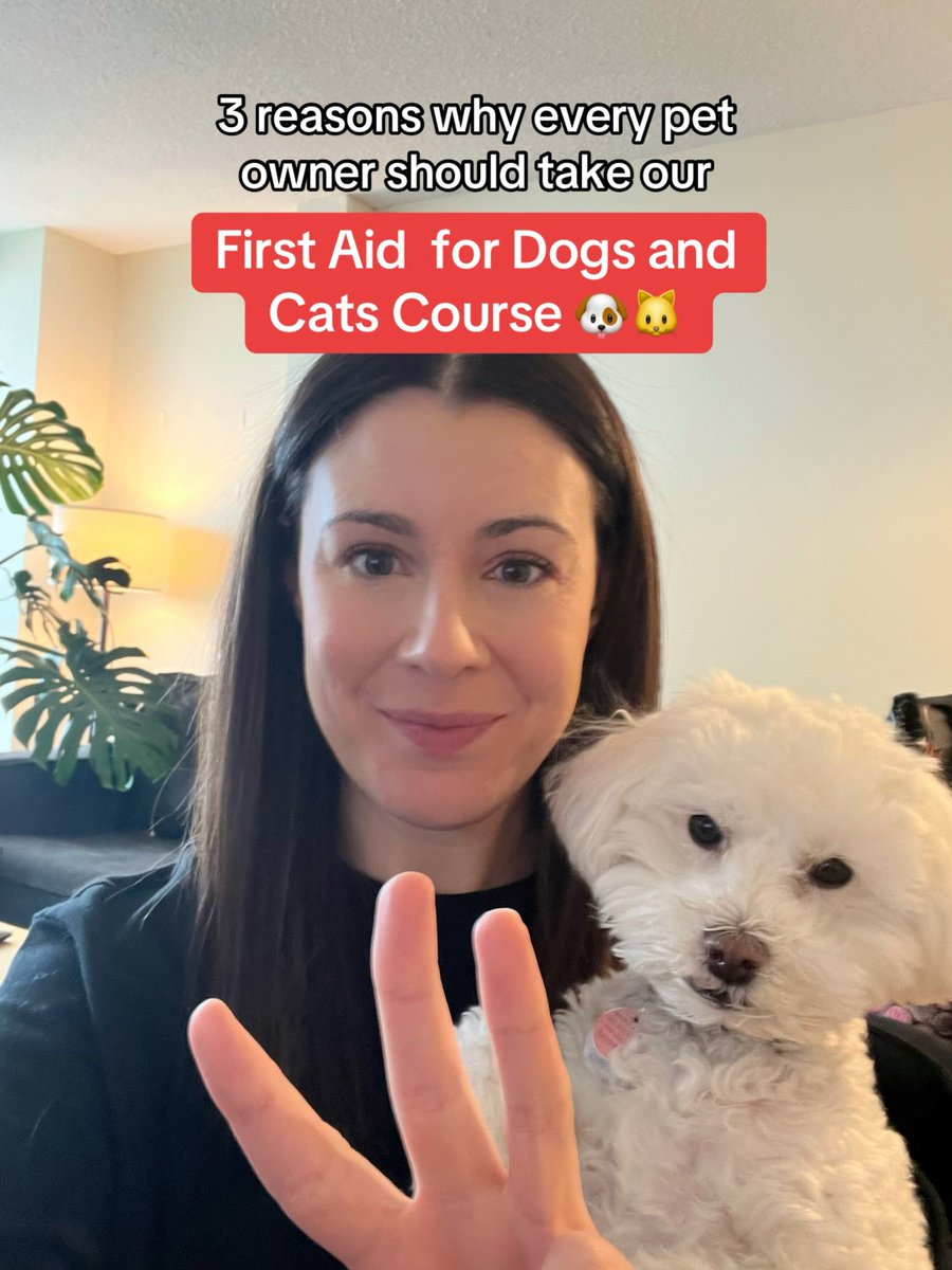 Canadian Red Cross tweet media