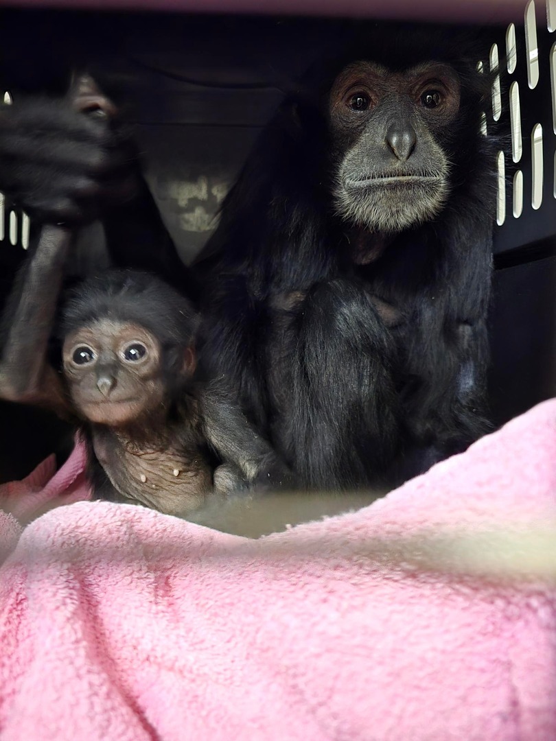 Tulsa Zoo tweet media