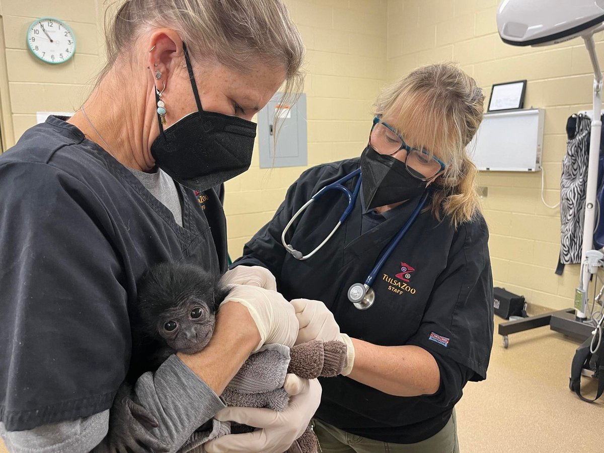 Tulsa Zoo tweet media