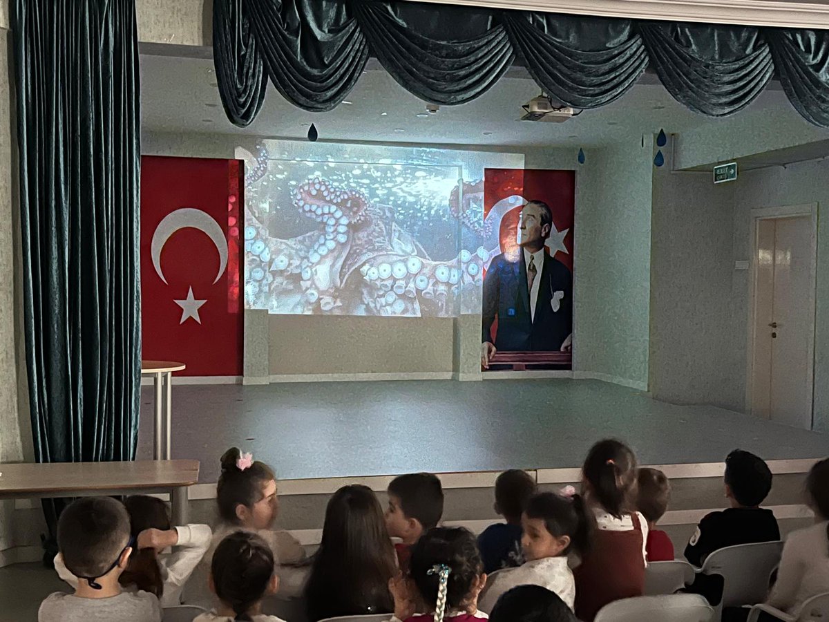 sivashalide's tweet photo. 2024-2025 Eğitim-Öğretim Yılı Dönem Sonu Faaliyetlerimiz kapsamında öğle grubu öğrencilerimiz ahtapot belgeseli izledi.
@sivasmem 
@necatiyener_ 
@Sivas_HEDEF https://t.co/PgXlOVmVAl