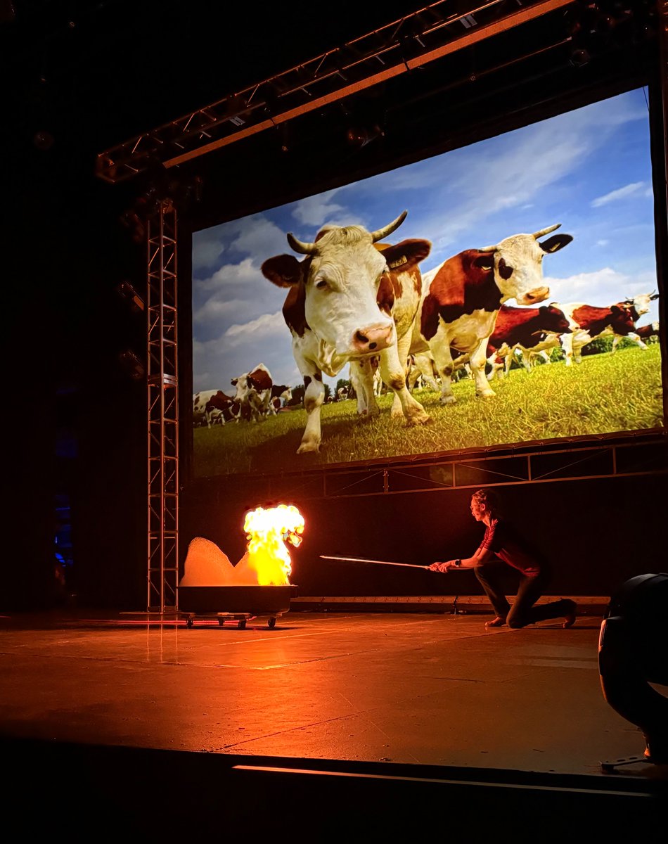 UMN Department of Chemistry tweet media