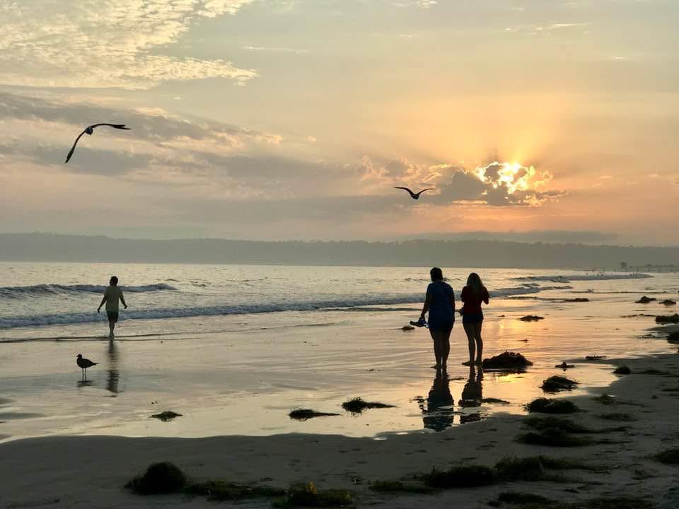 DiscCoronado's tweet photo. Another perfect day on San Diego’s enchanted island. Be sure to follow @DiscCoronado so you don’t miss great photos like this from Shirley Berson #coronado #sunset #california #sandiego #beach #pacificocean #coast #shoreline #travel #vacation #coronadoisland #photography #vacay https://t.co/ivYQLF01sC