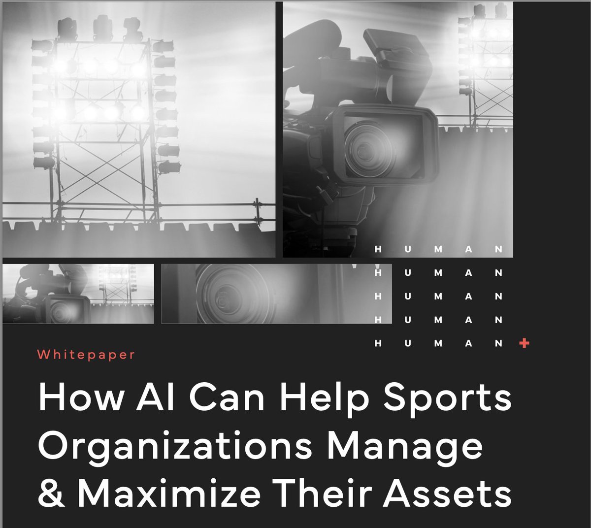 VeritoneME's tweet photo. Are you maximizing your archived content's potential? With Veritone, enhance your content and gain more value. 

Our #AI solutions can help you realize your digital content's true potential—download our whitepaper here.https://t.co/wn2ZHBoiyp https://t.co/wf3rqCppIN