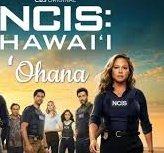 shannon_hausen's tweet photo. I'me proud to be apart of this fandom and #RightThereWithYa waiting for @Skydance to make the best decision ever and #SaveNCISHawaii https://t.co/cgshQCIVoJ