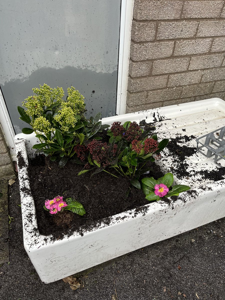 Afon y Felin Primary (@ayfprimary) on Twitter photo Gwych! Diolch to our Planet Protectors for weeding and planting to improve our school environment! What a great start ๐๐ @CSCJES <a href="/healthyschools_/">Healthy Schools</a> <a href="/LlC_Addysg/">Llywodraeth Cymru Addysg</a> Gwych! Diolch to our Planet Protectors for weeding and planting to improve our school environment! What a great start ๐๐ @CSCJES <a href="/healthyschools_/">Healthy Schools</a> <a href="/LlC_Addysg/">Llywodraeth Cymru Addysg</a>