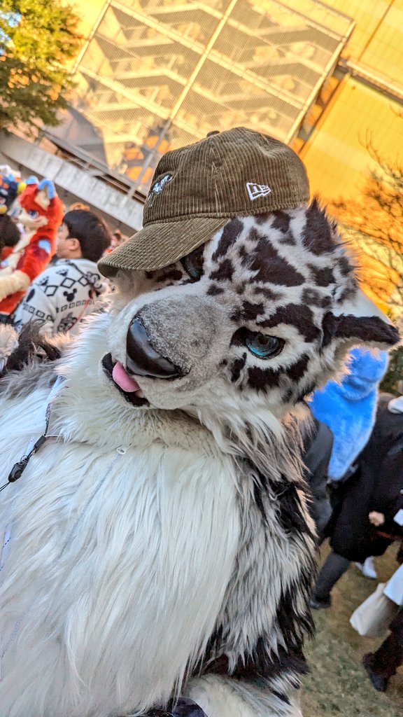 HUXUさん(<a href="/huxusnep/">❄️ᕼᑌ᙭ᑌ❄️</a>)

2回お声掛けし写真撮る際も𝐒𝐞𝐱𝐲...なポーズや仕草をしてくれるｻｰﾋﾞｽ精神溢れるケモノさん🐾

僕の帽子を被ってみたり茶目っ気ある可愛さに危うく自身"心"も奪われそうに…🫠

ありがとうございます📷️🙌
#JMoF2025 #JMoF_2025 #fursuit #furry