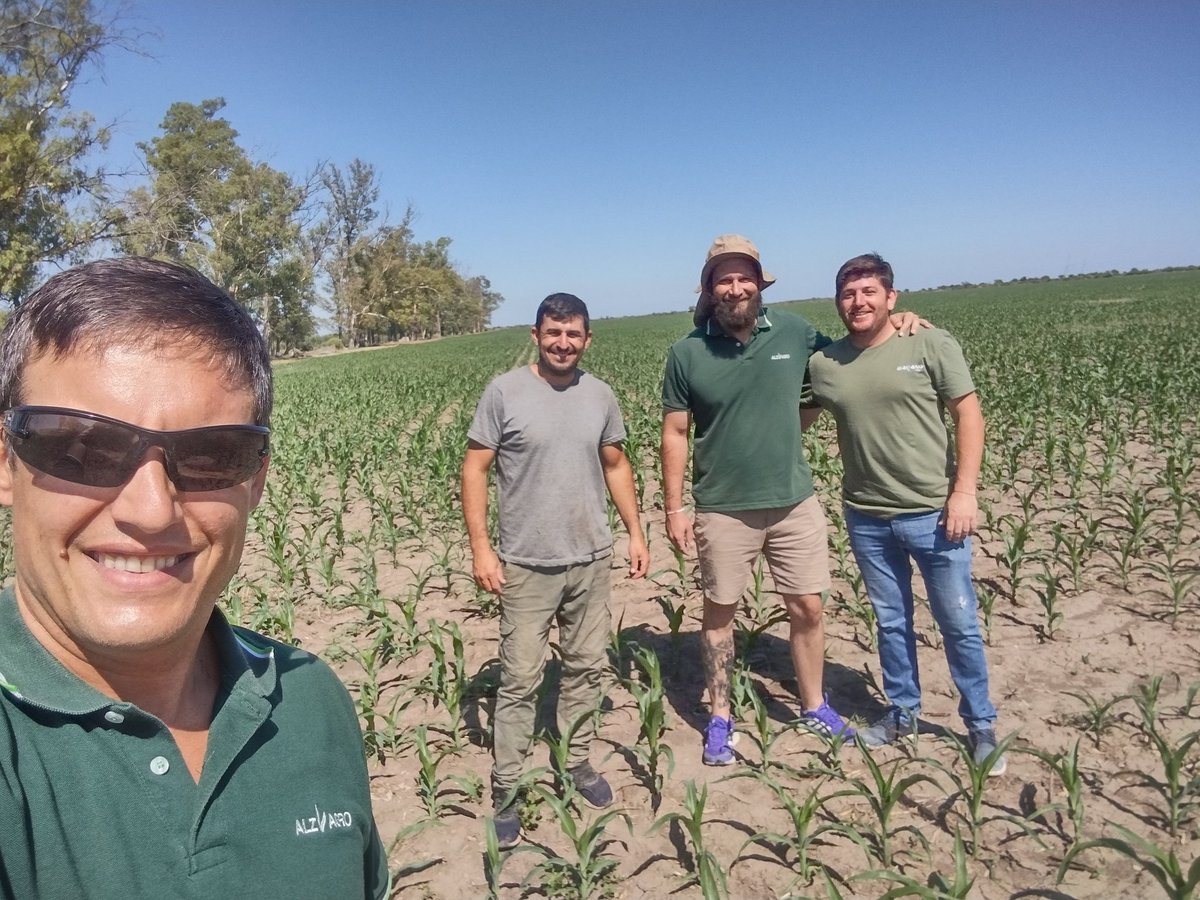 ImhoffDiego's tweet photo. Bórax pwue en la localidad de Miramar(Cba), junto a nuestro distribuidor Bakiano Agro, excelente desarrollo y sanidad , aguantando sin problemas el déficit hídrico .
@ALZ_Agro 
@semillasnord https://t.co/6VnQIfYZeL