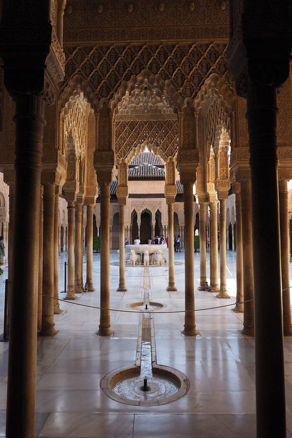 Jesús Osorio tweet media