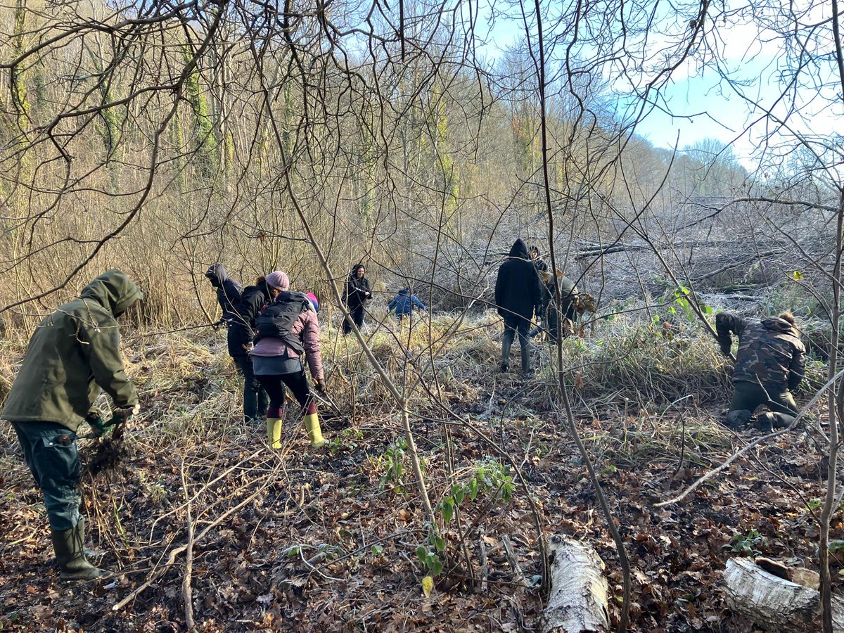 🌿 Belle journée de restauration des roselières dans la vallée de la Mérantaise, à #Magny78 !
Avec le Parc Naturel Régional, des étudiants du CHEP &amp; l’ONF, un chantier participatif a redonné vie à cet écosystème précieux. Merci à tous pour votre engagement ! 🌱 
#Biodiversité