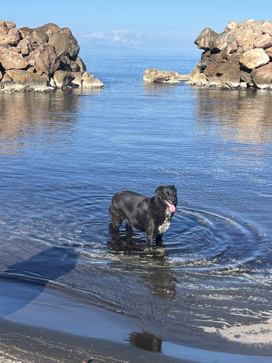 Η Τζούλια είναι 14 χρόνων αλλά το μπανάκι στα γούστα !