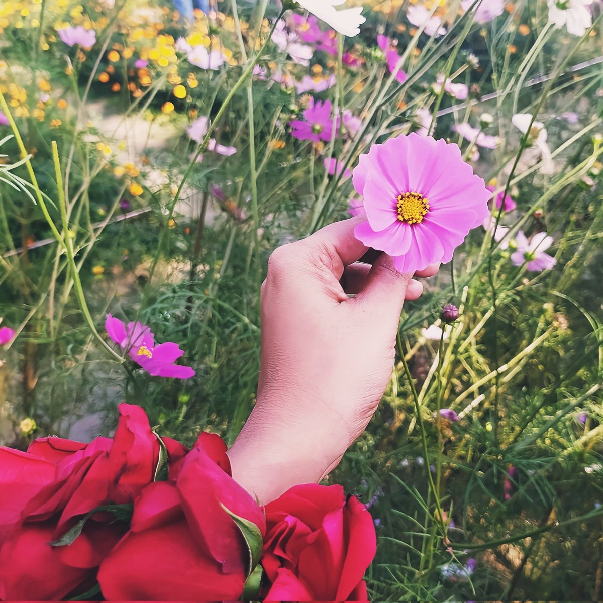 itschumki's tweet photo. #NewProfilePic https://t.co/28fDWyAau6