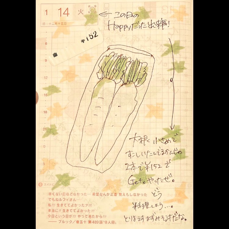 ほぼ日2025.1.14
いえーい 