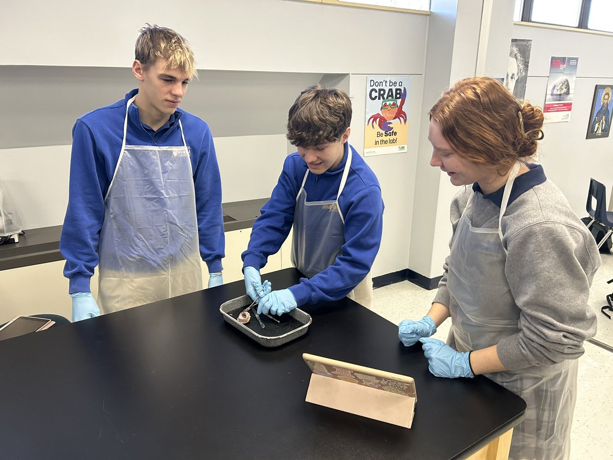 A&amp;P dissecting sheep eyes! <a href="/BorgiaHS/">St. Francis Borgia High School</a>