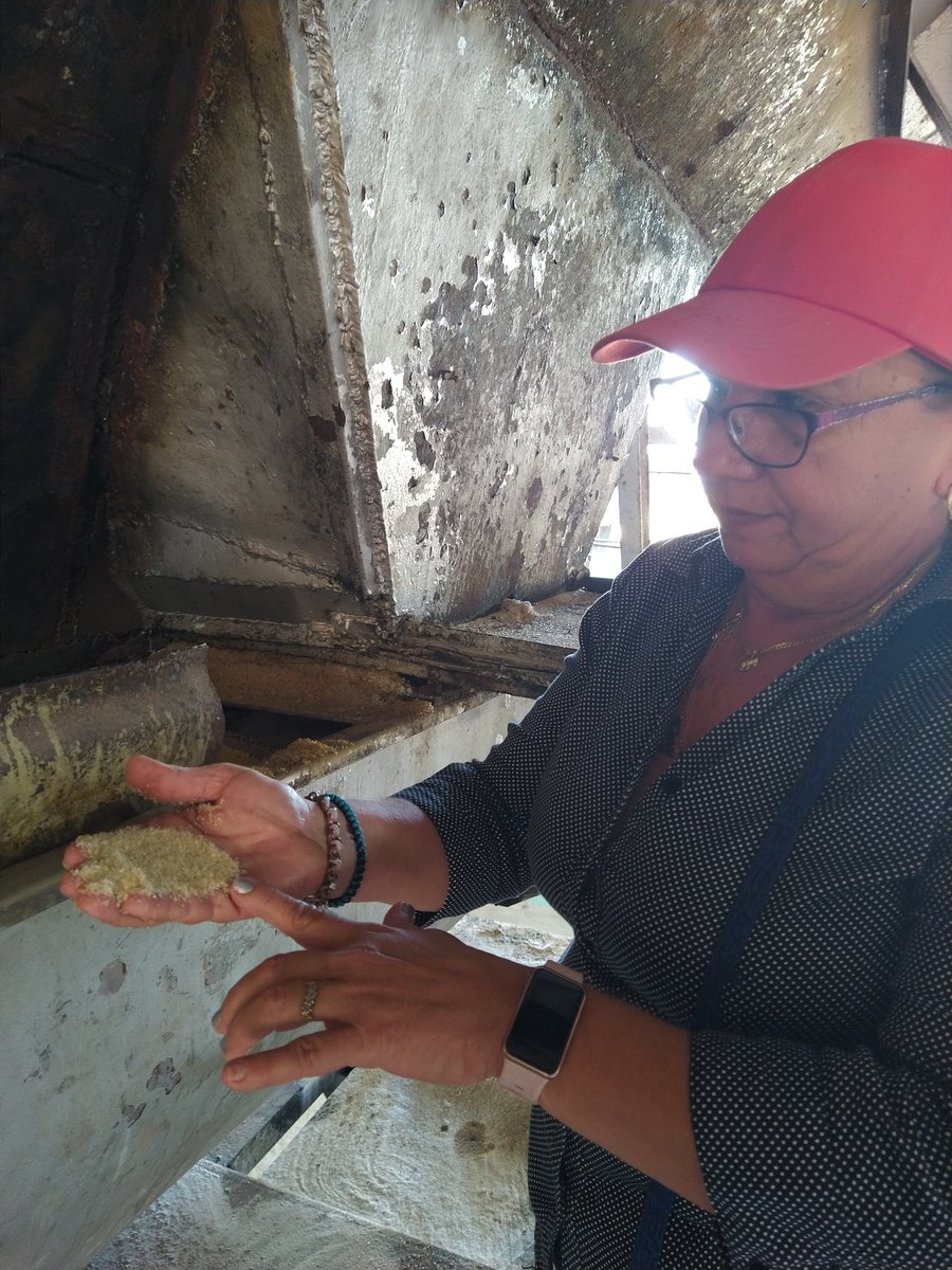 EaaJesusSablon's tweet photo. Fiscaliza la Directora del Departamento de Calidad, parámetros del #azucar crudo producida.
#azucareros
#CalimeteEnVictoria. https://t.co/0JjixZVY2l