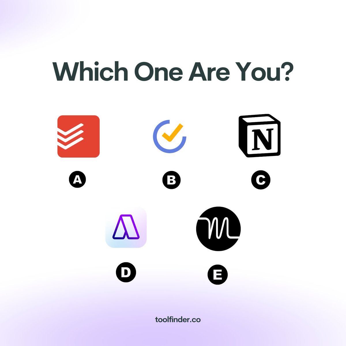 Francesco D'Alessio tweet media