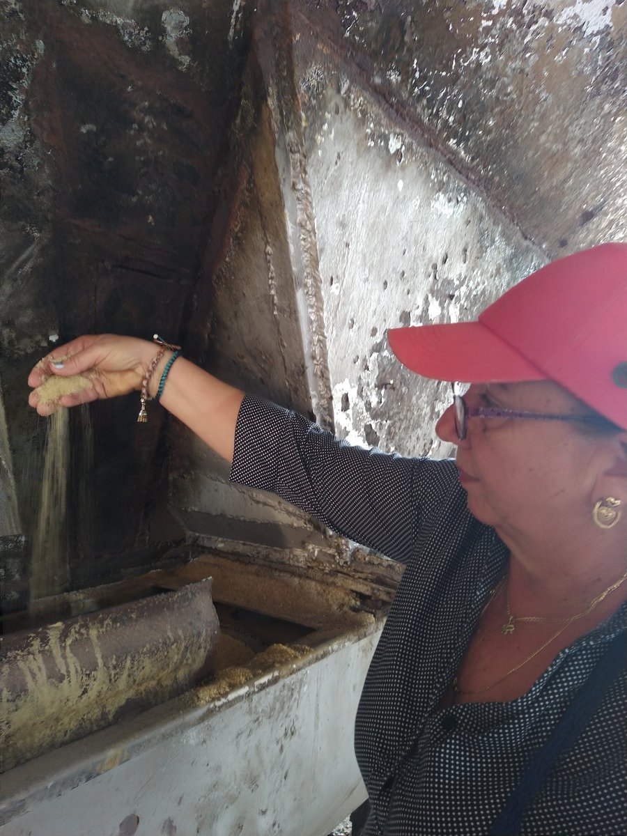 Fiscaliza la Directora del Departamento de Calidad, parámetros del #azucar crudo producida.
#azucareros
#CalimeteEnVictoria.