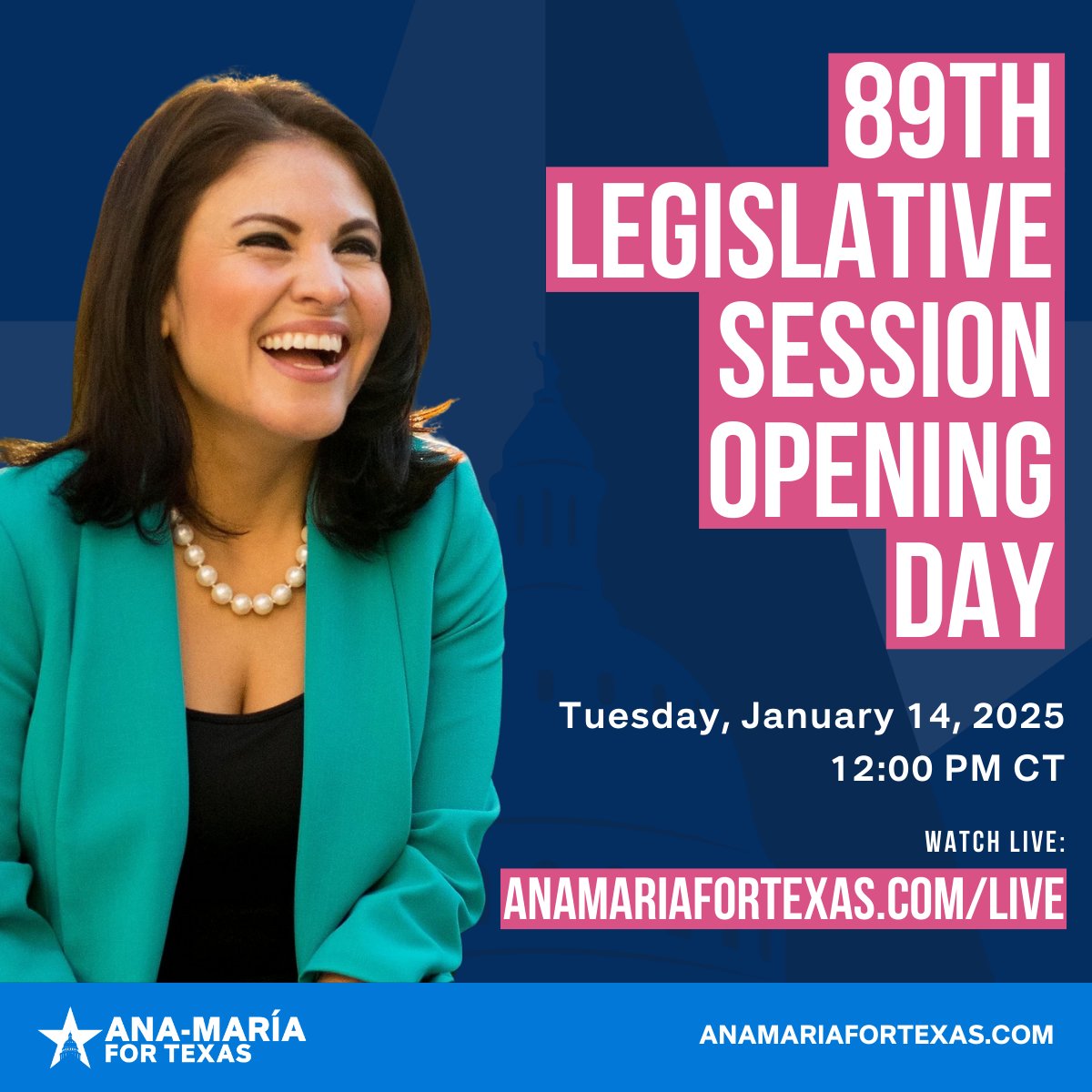 I'm proud to be the first Democrat to take a race for Speaker of the Texas House to the floor in over 20 years. #txlege

Tune in at 12PM CT for this historic moment: anamariafortexas.com/live