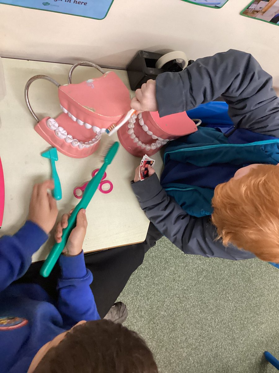 HPPSHedgehogs's tweet photo. We loved exploring in our very own dentist 👨🏼‍💼🧑🏽‍💼 https://t.co/dCz6IxQ4hZ