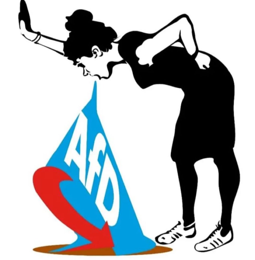 Jedes mal wenn jemand in meinen insta dms versucht die afd zu verteidigen wird noch ein fckafd bild gepostet,
Habt jemand gute wie das hier??