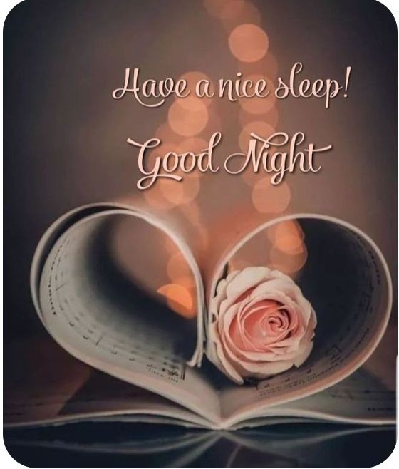 Chanda806's tweet photo. شب بخیر https://t.co/eOfmkRB5nA