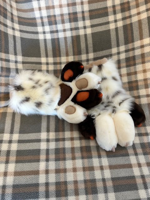 Rook Paws! Made by Mom! If you want to order your own custom parts visit madefuryou.com/smallparts
