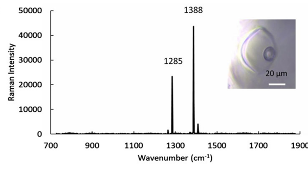 Hugh Tuffen tweet media